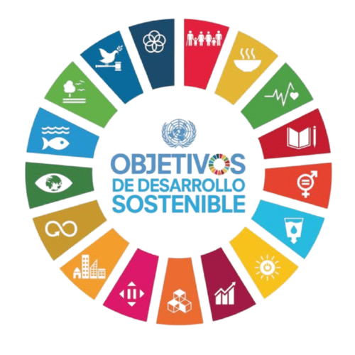 diseño sin título 4 removebg preview