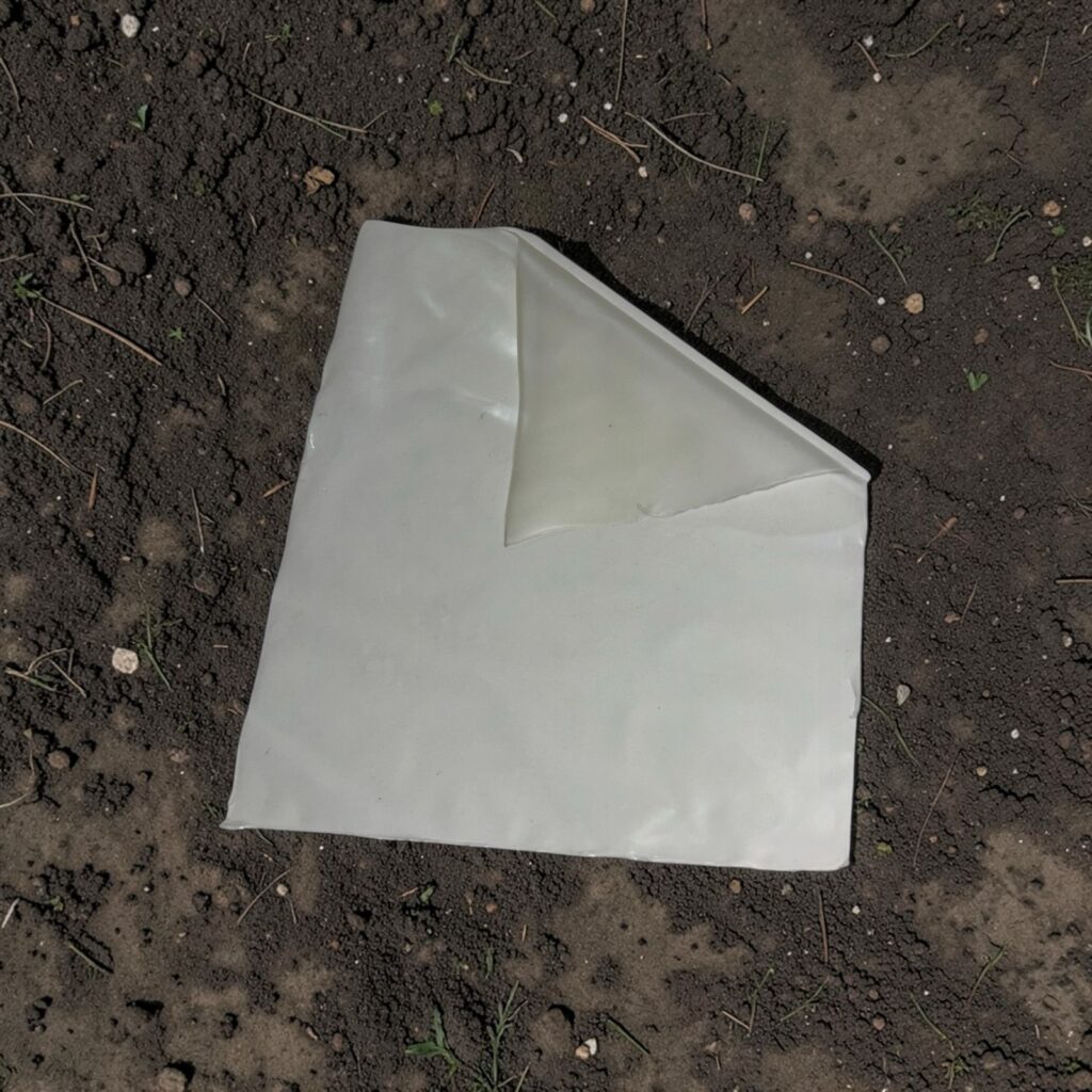 whatsapp image 2026 02 26 at 21.44.13